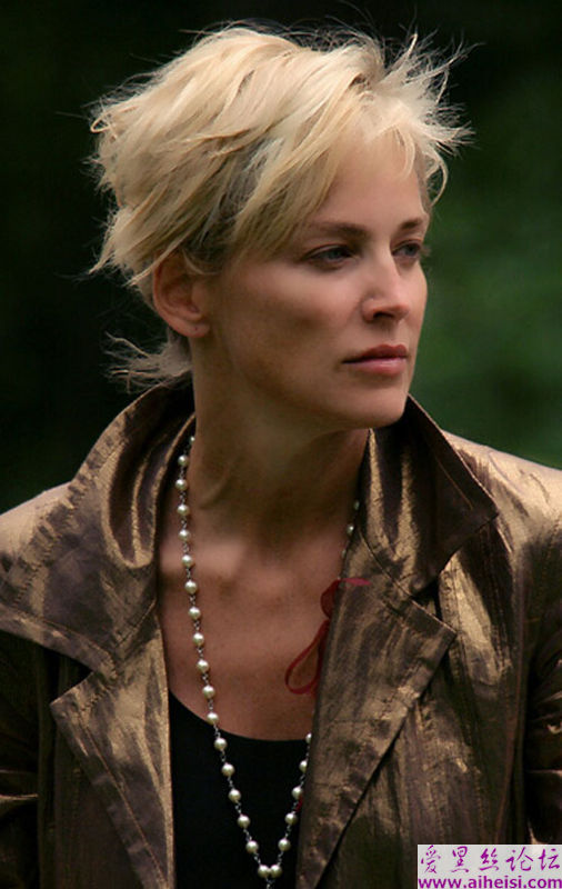 好莱坞女星莎朗·斯通Sharon_Stone_写真图