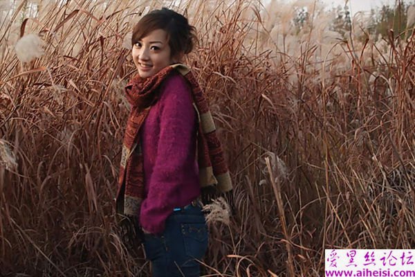 在那芦苇花盛开的地方有着美丽的姑娘