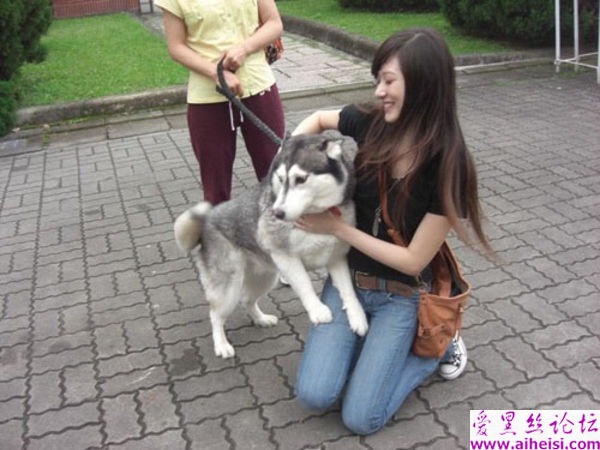网络热传的台湾音乐女孩生活照