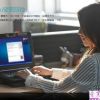 黑丝秘书让你无心工作