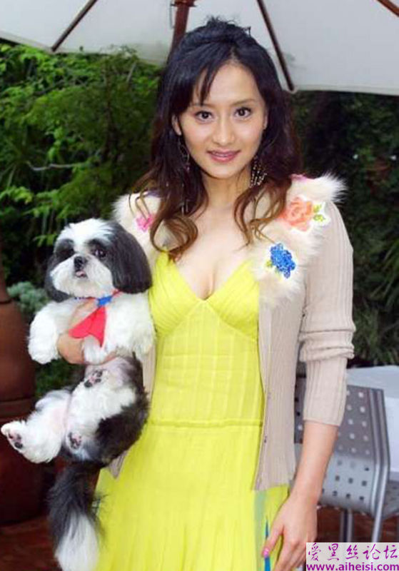 饰演梅花三弄而走红的台湾女演员陈德容图组
