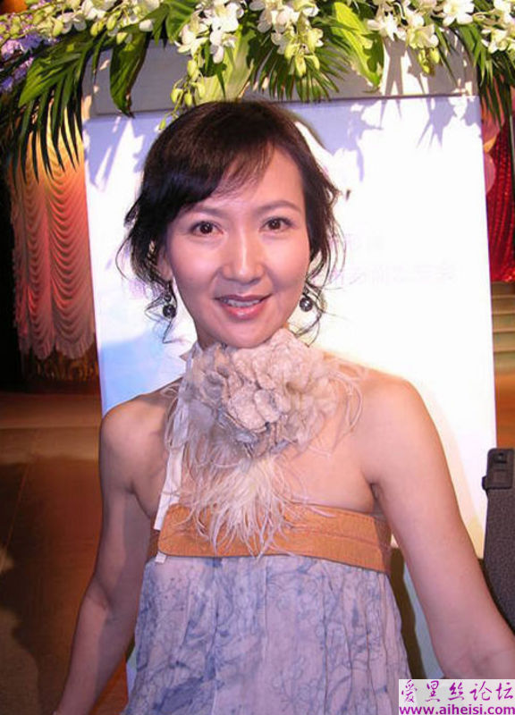 香港公教艺人陈美琪图片