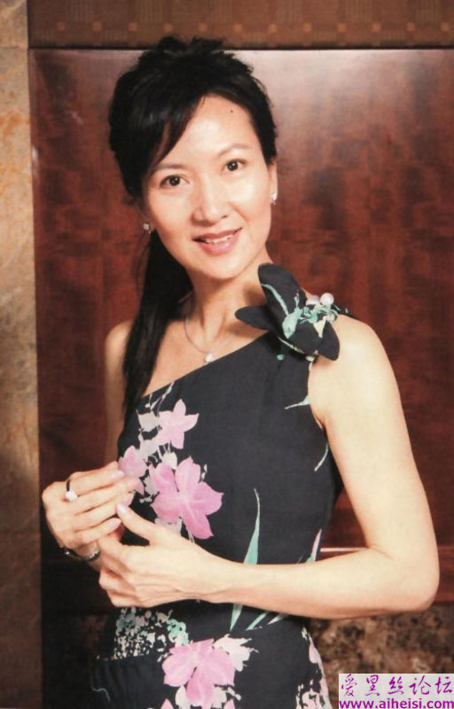 香港公教艺人陈美琪图片