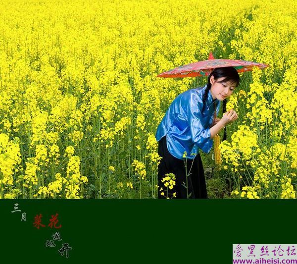 三月菜花遍地开