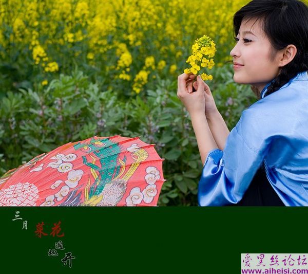三月菜花遍地开