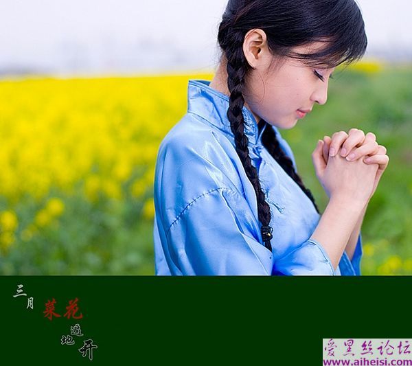 三月菜花遍地开