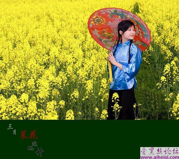 三月菜花遍地开