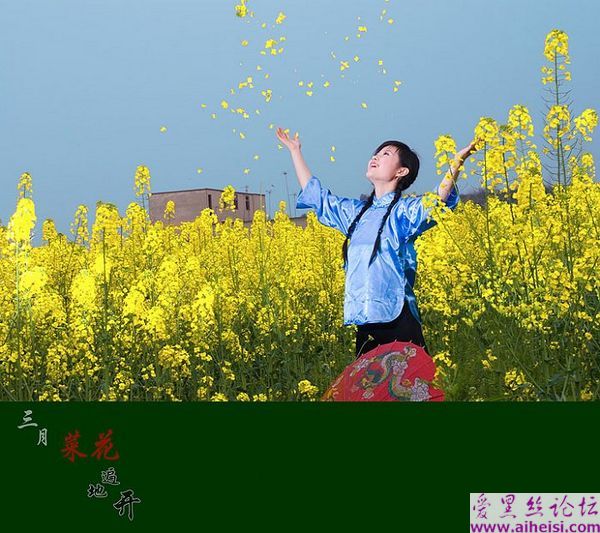 三月菜花遍地开