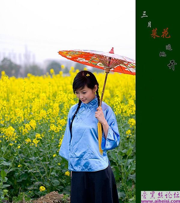 三月菜花遍地开
