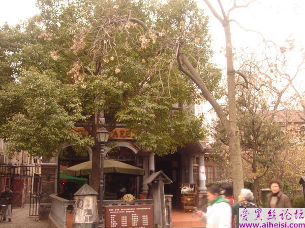 孔曉雁-第一辑