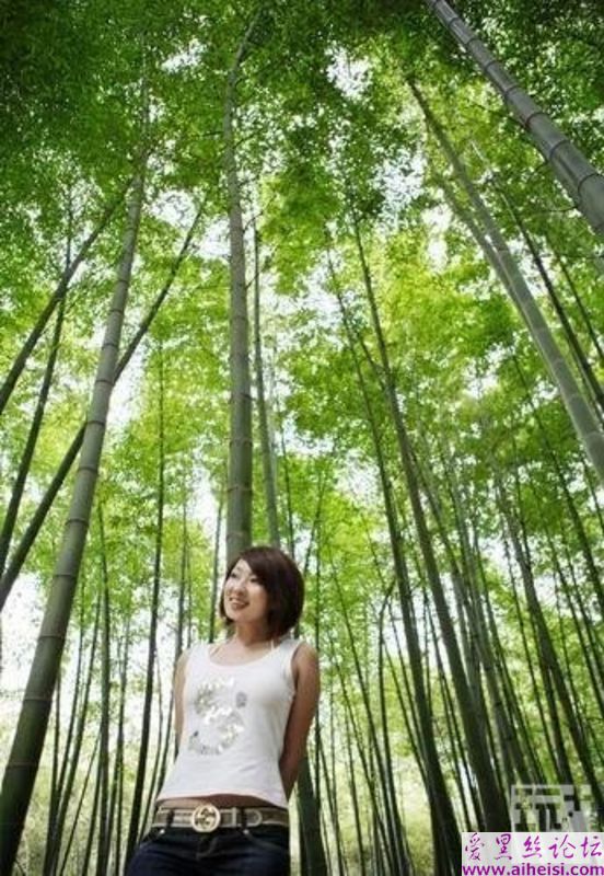 林彦君-第四辑