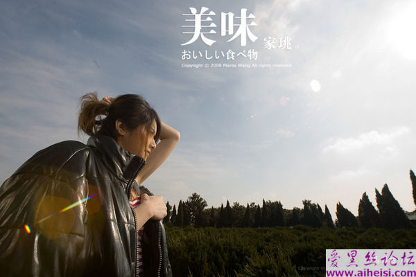 王家珧-第一辑