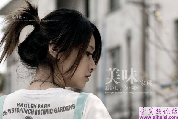 王家珧-第一辑