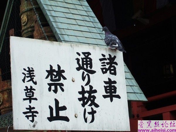赵恩娜-第三辑