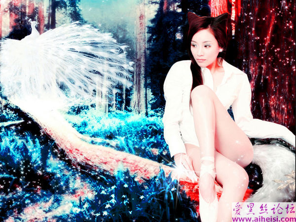邵路雅-第一辑