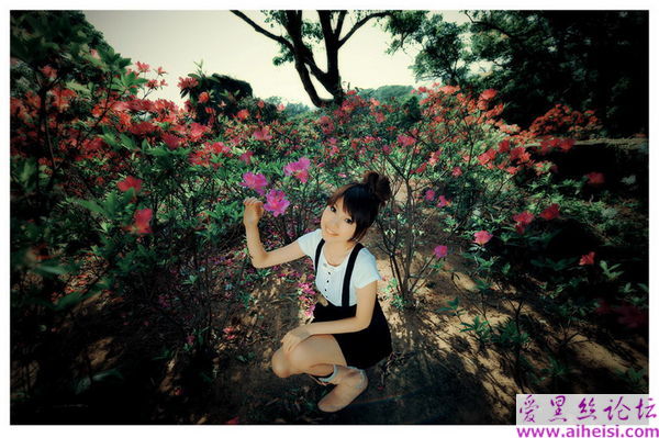 养眼美女---关莉莎套图