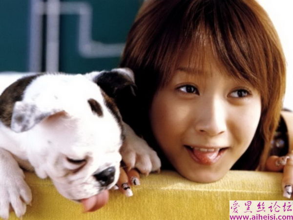 藤本美贵-第二辑
