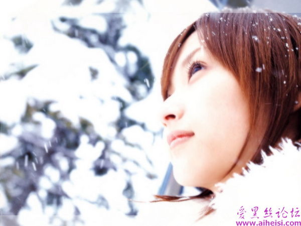 藤本美贵-第五辑