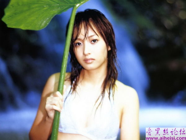 藤本美贵-第四辑