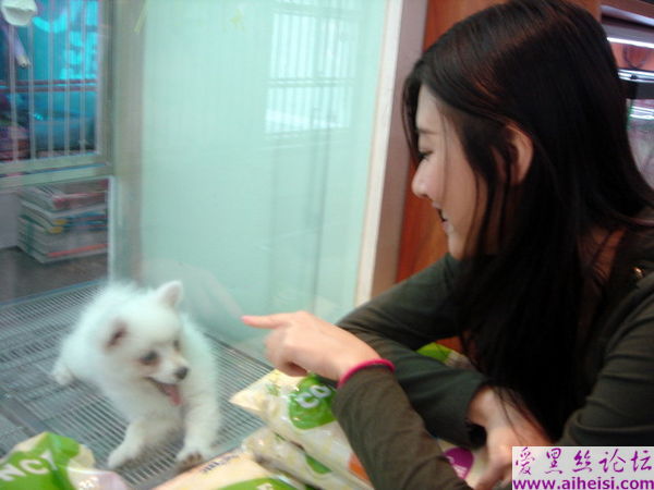 天生丽质气质优雅的美女