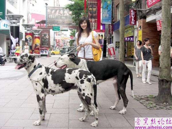 天生丽质气质优雅的美女