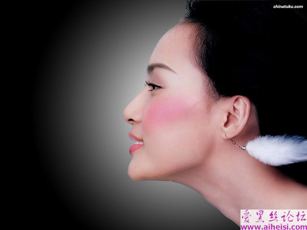 性感的桌面美女图集