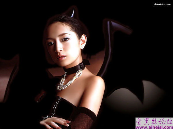 性感的桌面美女图集