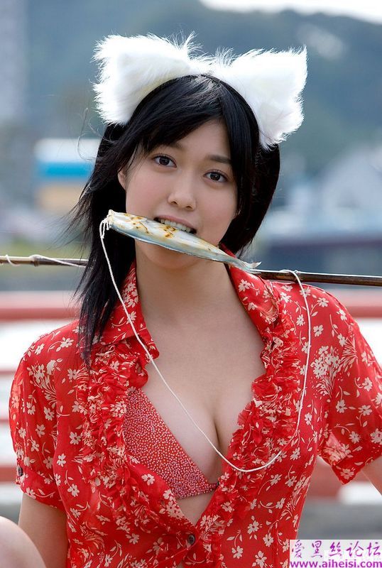 性感美猫