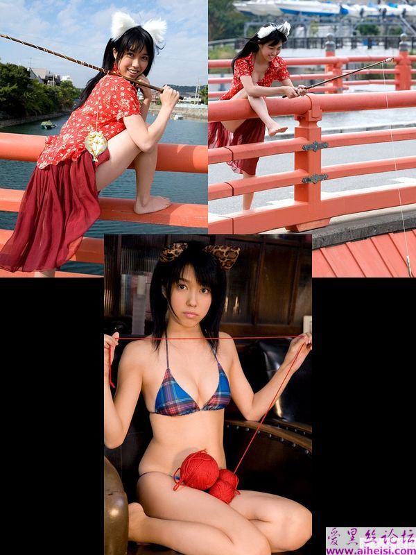 性感美猫