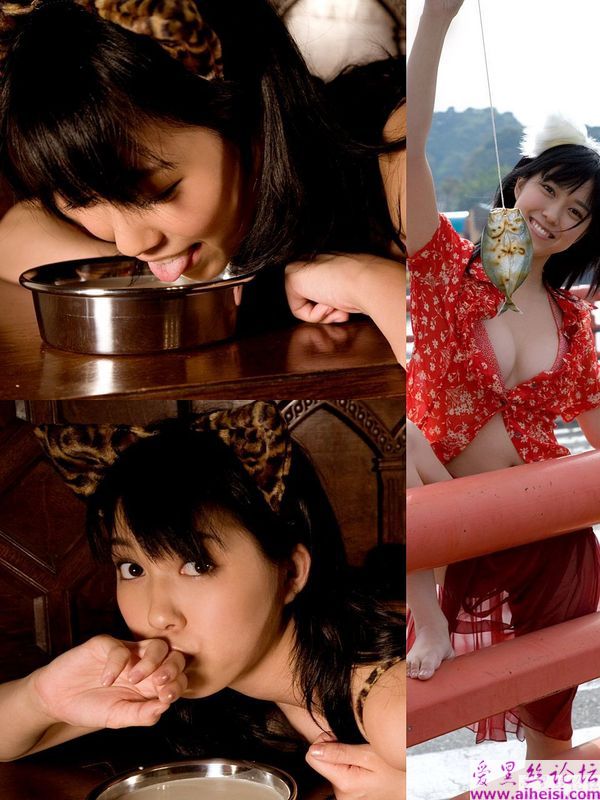 性感美猫