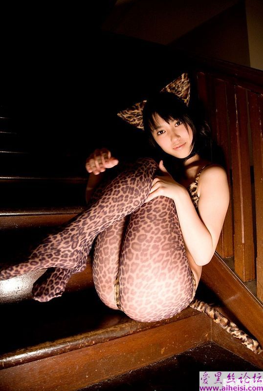 性感美猫