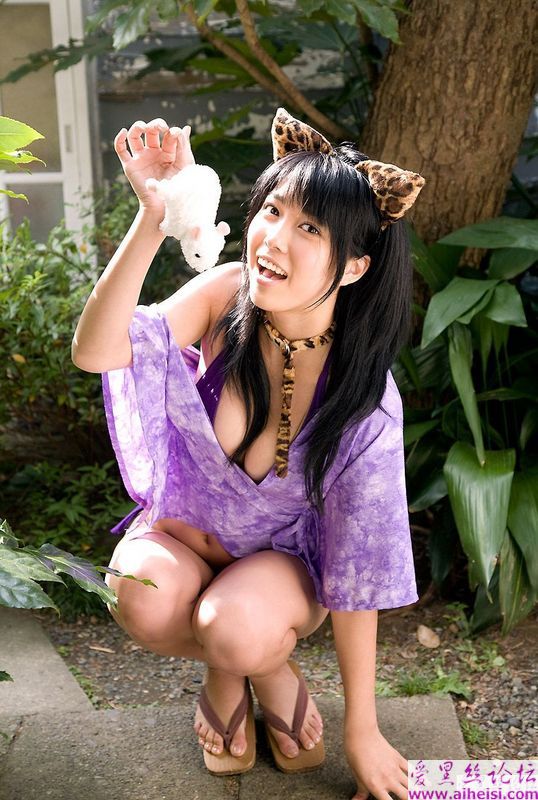 性感美猫