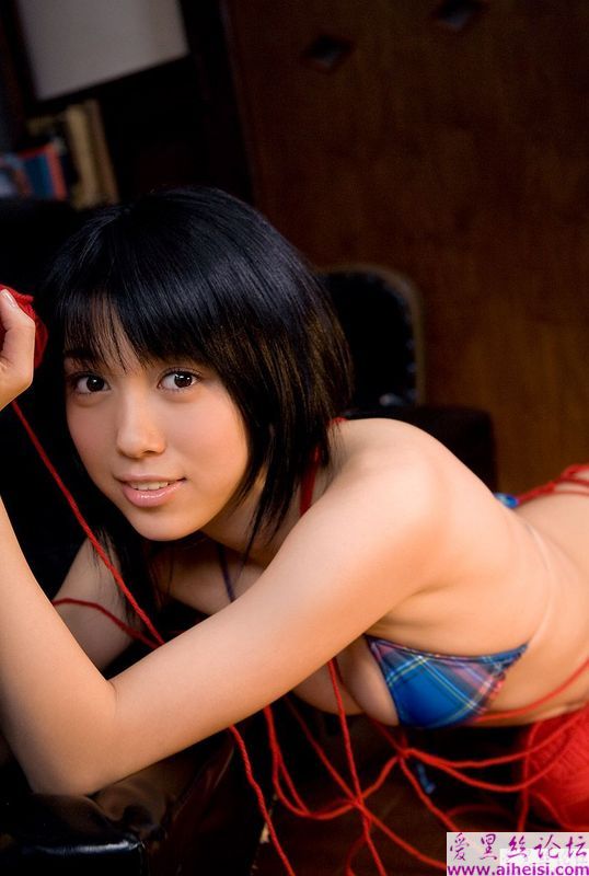 性感美猫