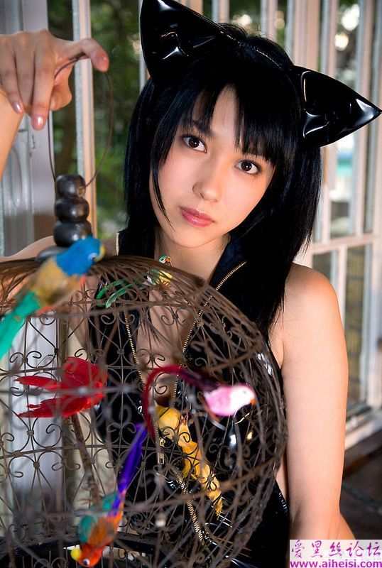 性感美猫