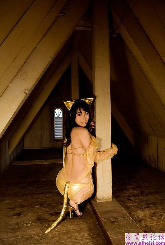 性感美猫