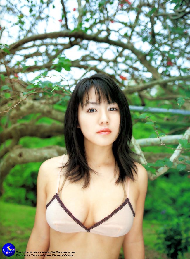矶山沙耶香性感写真