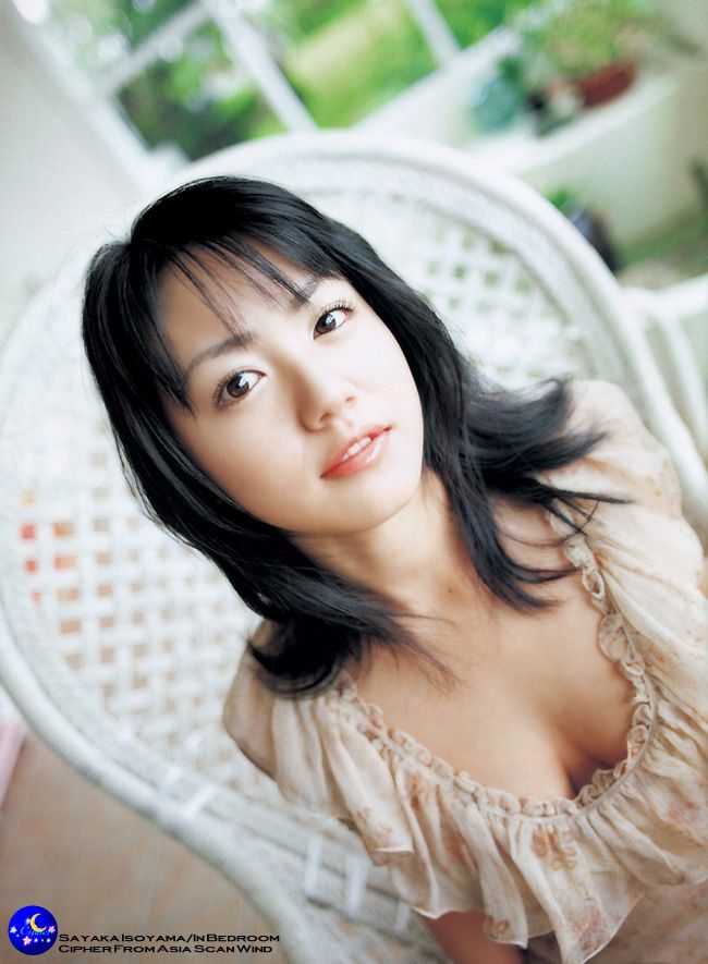 矶山沙耶香性感写真