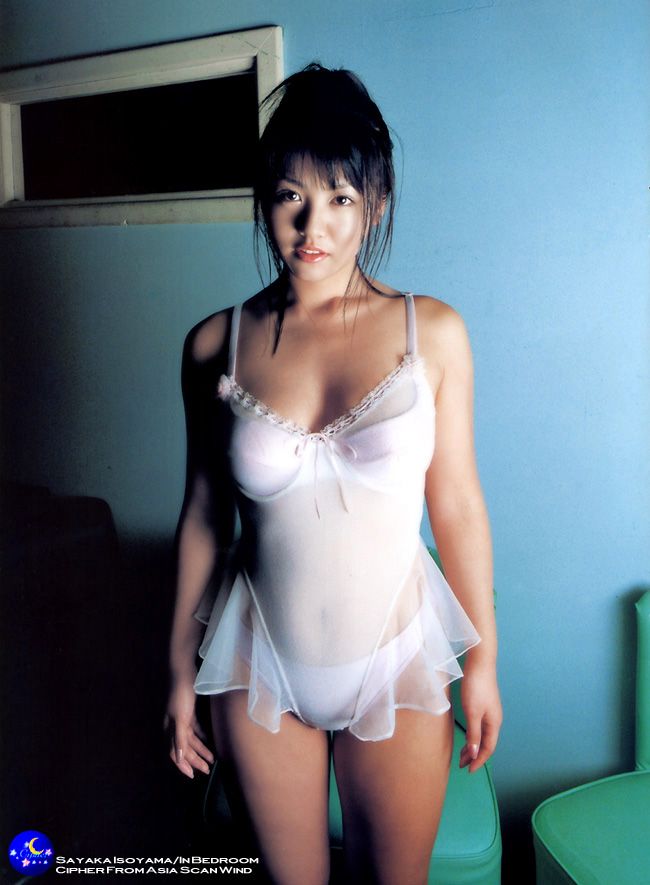 矶山沙耶香性感写真