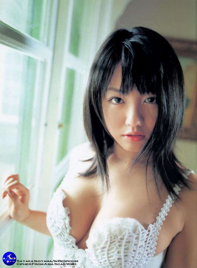 矶山沙耶香性感写真