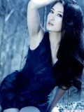 性感大陆女星盖丽丽图片