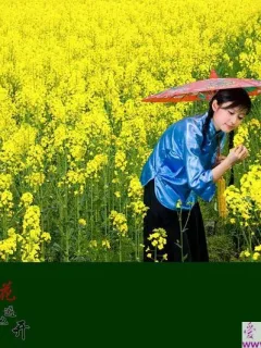 三月菜花遍地开