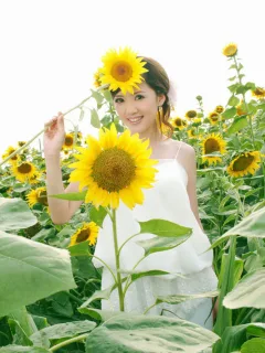 在太阳花丛中拍摄的漂亮美女图片