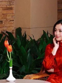 无缘何生斯事_有情所累此生
